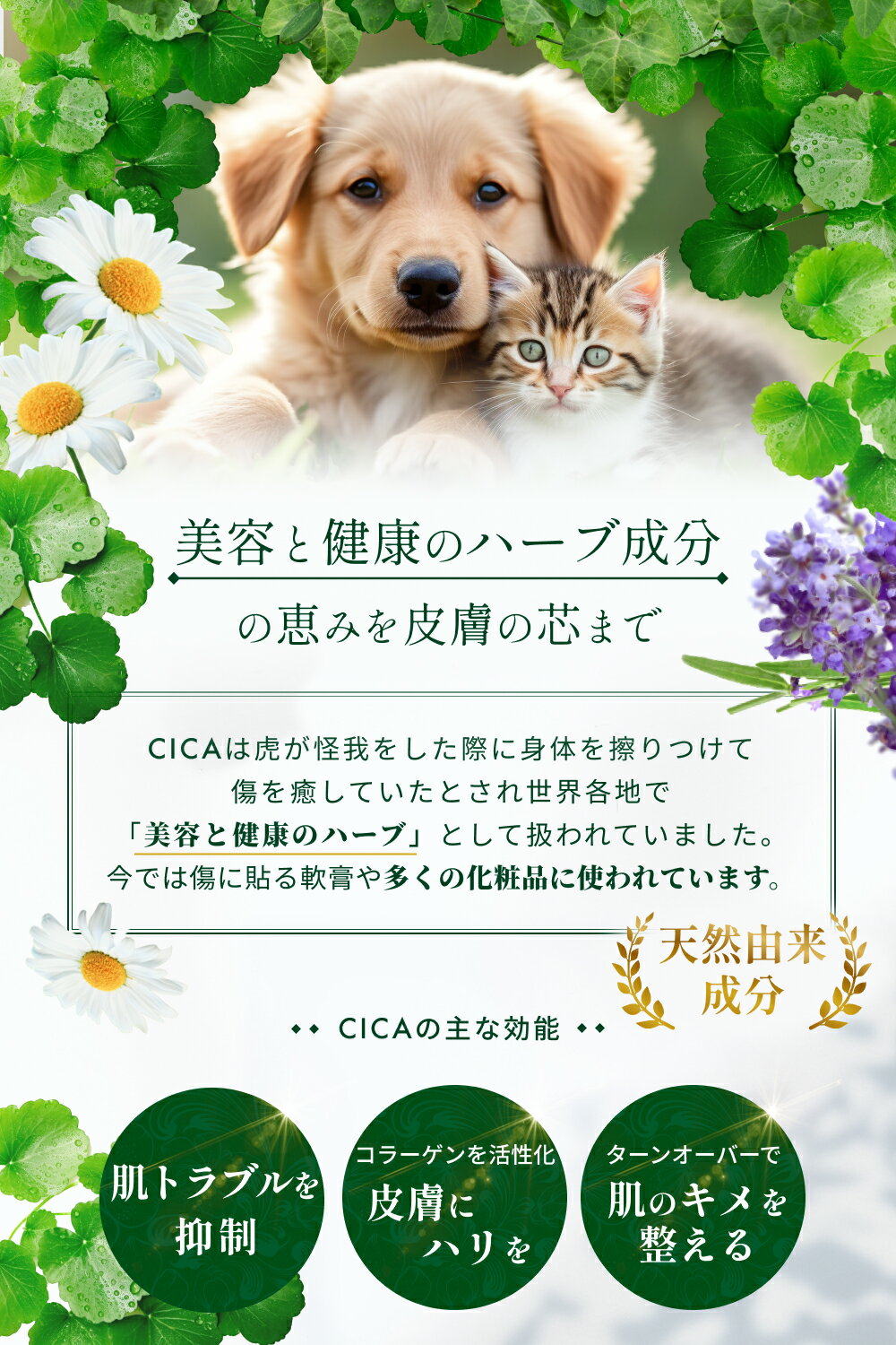 【楽天スーパーDEAL★P20％バック 5/2 10:00～5/16 9:59】 あす楽 犬 猫 スキンケアミスト シャンプー 国産 ブラッシング CICA 犬用 猫用 オーガニック 無添加 保湿 敏感肌 乾燥肌 低刺激シャンプー 静電気 消臭 ブラッシングスプレー 300mL Petlab ペトラボ 3