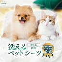 ペットシーツ 洗える 猫 犬 おしっこパッド おしっこ 世界基準認証取得 瞬間吸水 速乾3Dメッシュ ペットマット トイレ下敷き マット 漏れない 速乾 超吸収 ペット用 犬猫兼用(4)