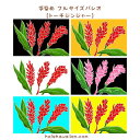ハワイ タヒチアン 手染め タヒチアン パレオ【 トーチジンジャー 】