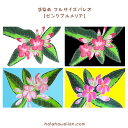 ハワイ タヒチアン 手染め タヒチアンパレオ 【 ピンク プルメリア 】