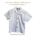 ハワイアン キッズ ボーイズ アロハシャツ 【 ハイビスカス パネル 】