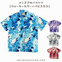 映画界でも人気のワンランク上のメンズアロハシャツです!
