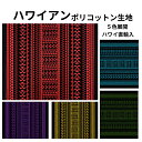 ハワイアン ポリコットン生地LW-22-849【 タパ ウィン パネル 】