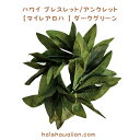 ハワイ フラ衣装 シルク フラワーブレスレット アンクレット 【 マイレ アロハ 】ダークグリーン