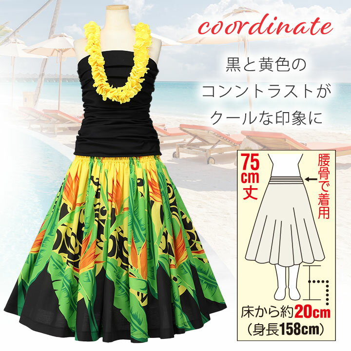 ¨Ǽ�� �ѥ��������� [SK444-7-3789] �ե���� ���� �ե���󥹰��� �ե饹������ �������� �ѥ� �ѡ����� �ϥ磻���� ȯɽ�� �ե���� �������� ���� �� �˳�Ļ��