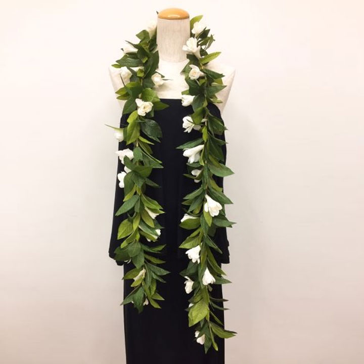 ���塼�֥������ޥ���쥤 [YCKZ0312-6021] �ե���� �ե� �ե���󥹰��� �ե���� �쥤 �ե龮ʪ �ե���󥹾�ʪ ���� ��ʪ �ۥ��� ȯɽ�� ���ơ��� ���٥�� ��å��� �ޥ��� ���塼�֥�����