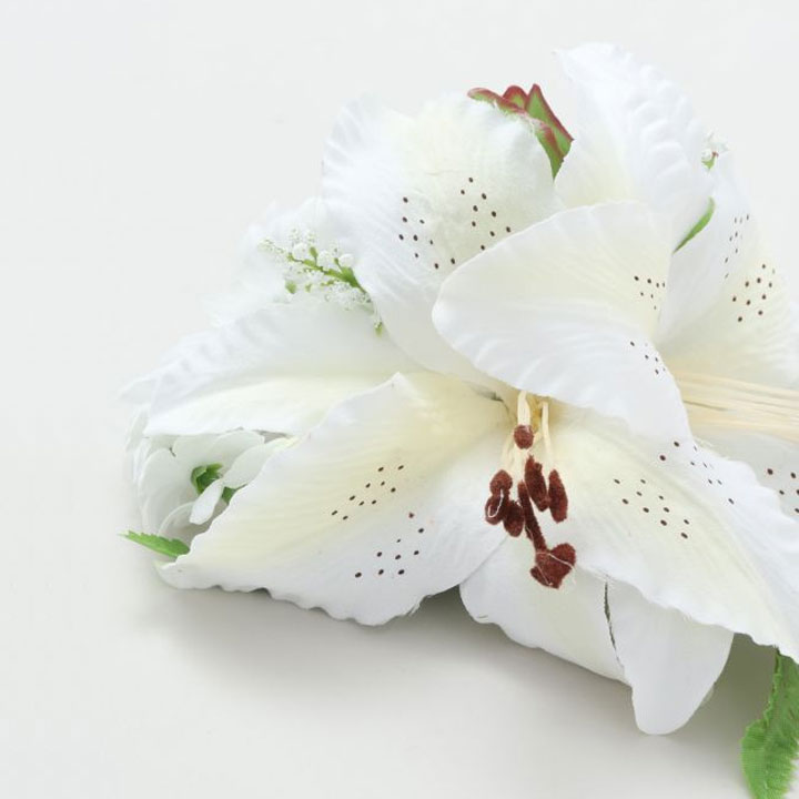 �ڤ��㤤ʪ�ޥ饽��10�󥪥աۡڥ��쥬��ȥ�꡼����åס�[YTFZ1626-6055] �ե���� �ե� ����å� �إ�����å� �إ������� ȱ���� �� �礭�� �ڤ䤫 ��Ω�� ���ơ��� ���ơ������� ������ʪ ��꡼ �ԥ���