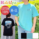 即納★ 半袖プリントTシャツ サーフズアップ スケボードッグ 222SU1ST104-6084 Tシャツ 半袖 レディース メンズ ユニセックス SURFS UP 綿 100％ ホワイト ブラック サックスブルー フラダンス フラ 練習着 レッスン着 サーフ ドッグ 犬