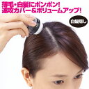 利尻と椿のPONヘアパウダー [Z1740] ヘアケア 簡単 白髪隠し 白髪カバー 白髪ケア 薄毛隠し 薄毛カバー ポンポン パウダー 利尻昆布 椿..