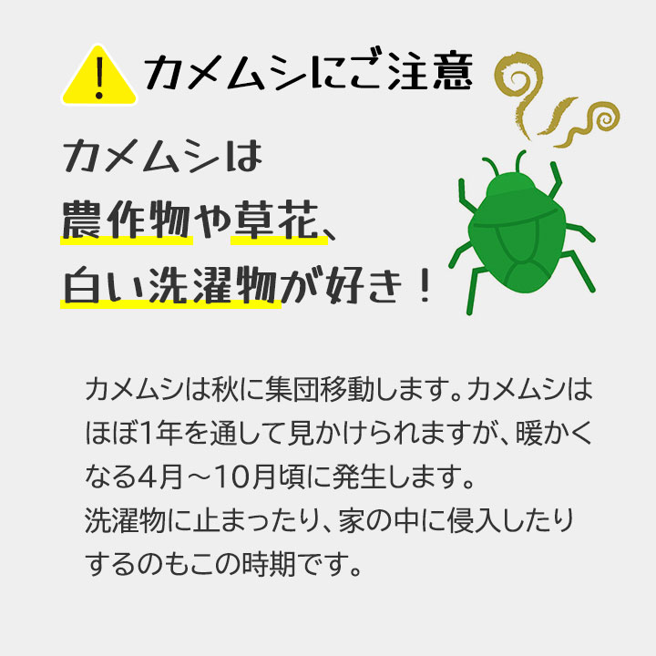 ����ʤ饫������ �ݤ������� 2���� [Z3141]����ॷ �к� �٥��� ���� ����ॷ ����� ���� ����ष ���� �ϥå� �ߥ�� ��褱