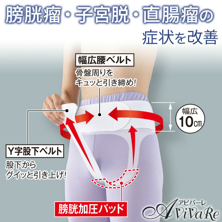 即納★【送料無料】骨盤底筋ベルト モレナレディEX [Z3150] 膀胱瘤 子宮脱 直腸瘤 尿漏れ 頻尿 改善 ベルト 対策 日本製 女性用 健康サポート 骨盤底筋 骨盤 サポーター 薄型 お出かけ 敬老の日 ギフト プレゼント 誕生日 3