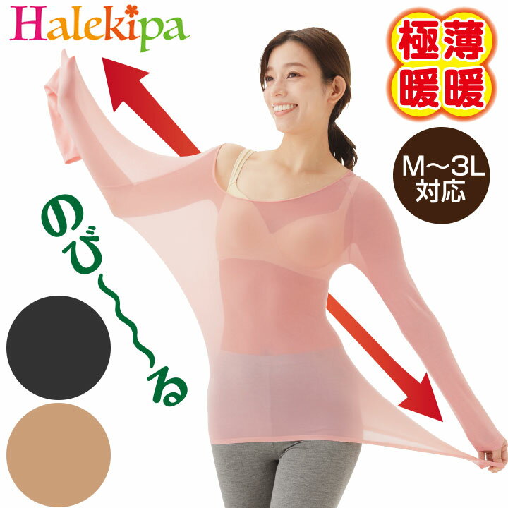 ご注意 ※不良品以外の返品・交換はお受けできません。 ※こちらの商品はご注文後のメーカー発注品のため、お届けまで1〜2週間かかる場合がございます。 ※モニターの発色の具合によって実際の商品と色が異なる場合がございます。 ご案内 在庫について 団体様などで、まとめてのご注文をご希望のお客様は【商品名・サイズ・カラー・ご注文数】を当店スタッフまでお問い合わせくださいませ。 新商品（最新カタログ掲載商品）に関しましては、インターネット店で売り切れの場合でも、在庫が残っている場合がございます。 一度お問い合わせくださいますようお願い申し上げます。