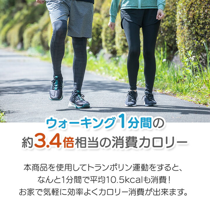 体幹ぴょんぴょん ホップステッパースリム [Z3391] クッション トランポリン 運動...