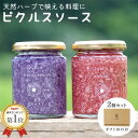 【 専用ギフトBOX入り 2個セット 】 M.vege タマネギピクルスソース エムベジ 玉葱ピクルスソース ピクルス ピクルスソース 玉ねぎ タマネギ ソース...