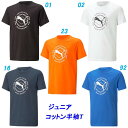 A5★半袖Tシャツ/プーマ(PUMA)ジュニア PUMA ACTIVE SPORTS グラフィック Tシャツ(675819)【HDO90】【あす楽対応】【楽ギフ...