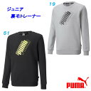 C4★裏毛トレーナー/プーマ(PUMA)ジュニア(849635)PUMAPOWERロゴクルースウェット 