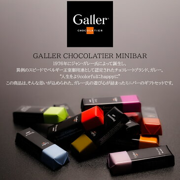 Galler ガレー チョコレートミニバー 12個入り/6フレーバーセットプレミアムスイーツ 友チョコ ホワイトデー バレンタイン お祝い 出産内祝 内祝い お返し プレゼント ご挨拶 ギフト 結婚内祝 快気祝 新築内祝 御祝 御礼 お歳暮 並行輸入正規品 【ホワイトデー】