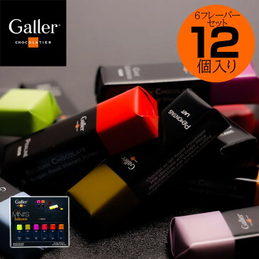 Galler ガレー チョコレートミニバー 12個入り/6フレーバーセットプレミアムスイーツ 友チョコ ホワイトデー バレンタイン お祝い 出産内祝 内祝い お返し プレゼント ご挨拶 ギフト 結婚内祝 快気祝 新築内祝 御祝 御礼 お歳暮 並行輸入正規品 【ホワイトデー】