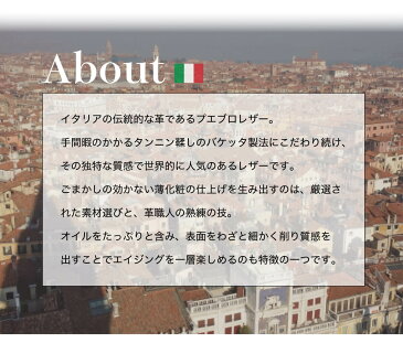 iPhone ケース スマホ カバー プエブロレザー イタリアンレザー 本革 11 Pro Max アイフォン メンズ レディース ペア 最新機種 apple カメラ穴 スリム シンプル ネイビー イエロー レッド ブランド Hallelujah ハレルヤ ギフト プレゼント