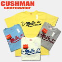 Cushman(NbV}jTCNRbgTVcy26230 MELLO ICE CREAMz