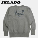 JELADO(WF[hjN[lbNXEFbgy5MSW-008z\gybp[iۃO[j