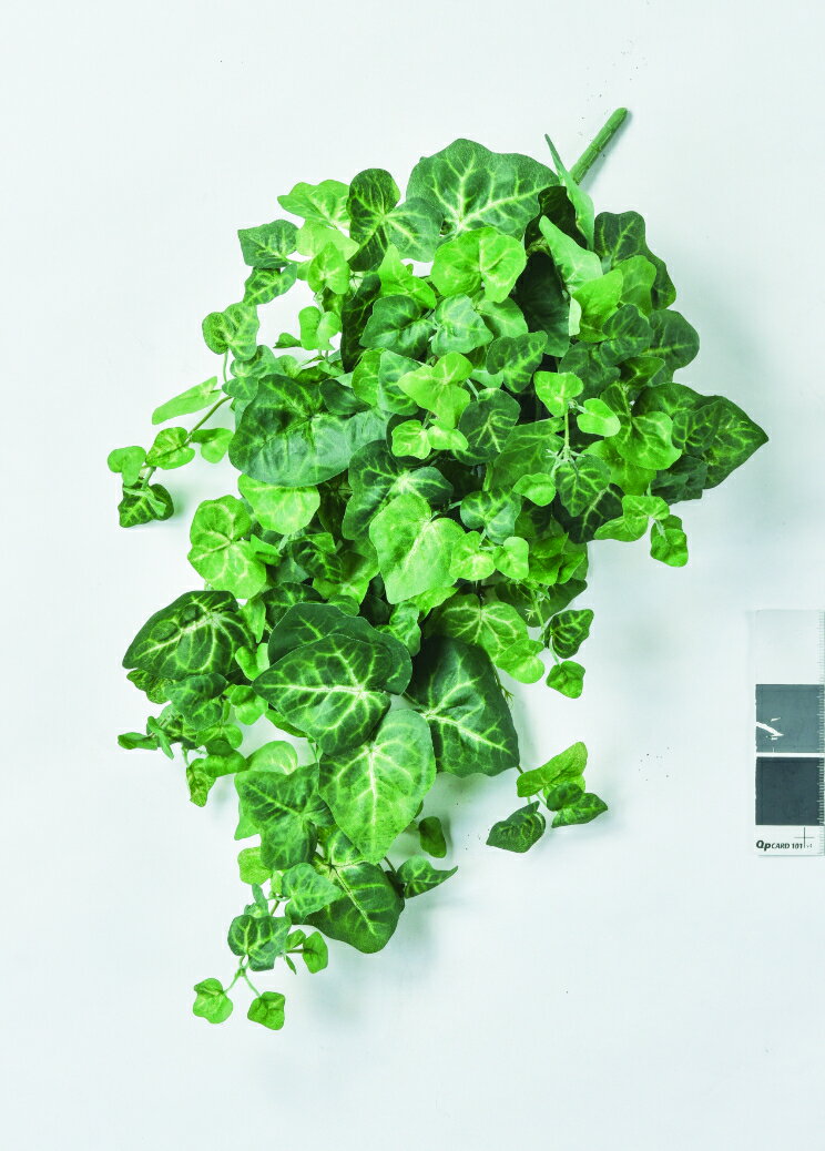 【★ポイント5倍★】11/14~11/16開催！楽天イーグルス感謝祭 × ポイントアップ(要エントリー)アスカ商会 ..