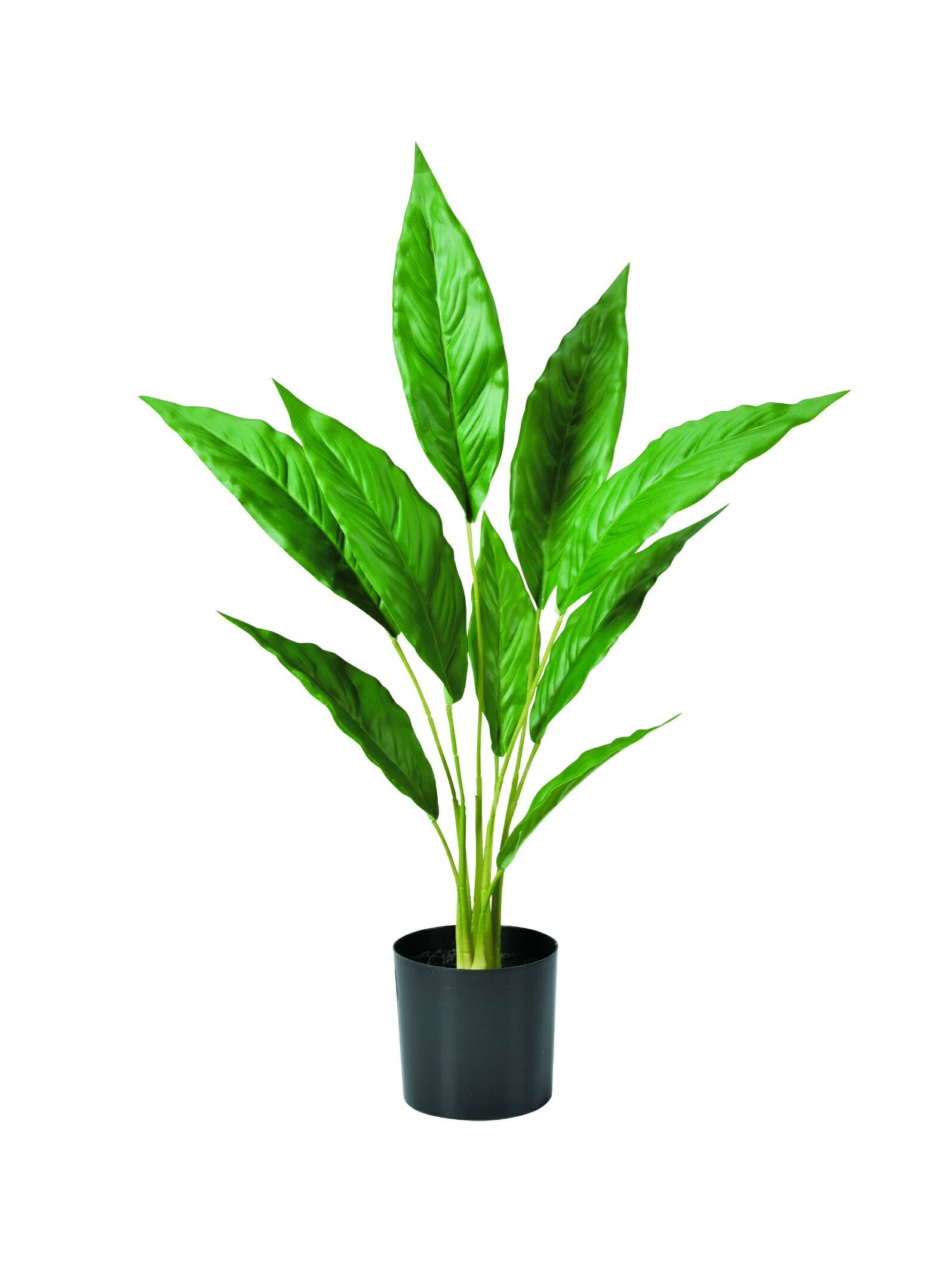 【当店限定】 11/1はポイント10倍！！アスカ商会 スパティフィラム(ポット付) グリ-ン 51052-051A 飾り アレンジ 装飾 フラワー