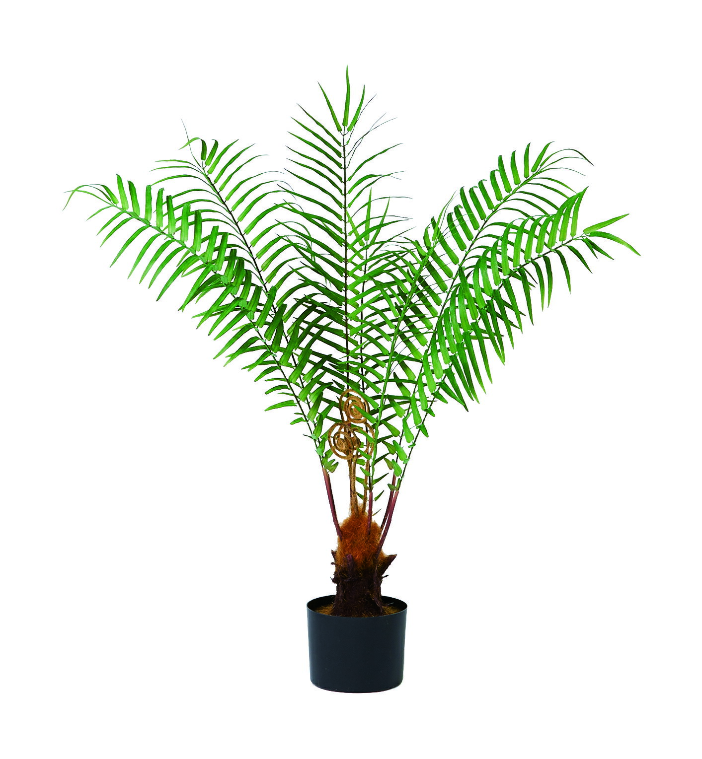 【ポイント10倍】12/1はワンダフルデー！アスカ商会 ファーンツリー(ポット付) グリ-ン 51080-051A 飾..