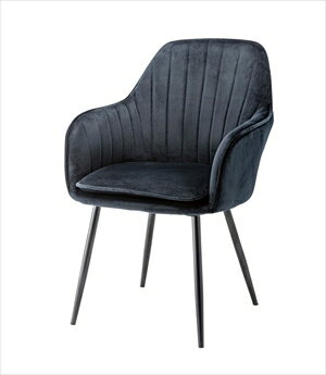 【★ポイント5倍★】7/19~7/26開催！お買い物マラソン(要エントリー) 東谷 チェア ブラック 2個セット TOE-122BK