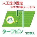【★ポイント5倍★】7/4~7/11開催!お買い物マラソン(要エントリー) ダイオ化成 人工芝ターフピン 10P 販売単位:10個セット