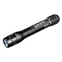 【ポイント10倍(5/1限定)】大一産業 津本式 アニサキスライト YF-980 単品