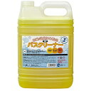 【ポイント10倍(5/1限定)】大一産業 カビが生えにくくなるバスクリーナー 5kg