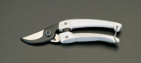 ڡݥ5ܡ6/22~6/27š㤤ʪޥ饽(ץȥ꡼) 185mm Ϥߡ