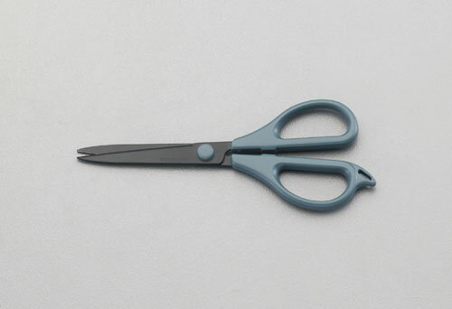 ڥݥ10ܡ۳ŷѡSAIL(12/4~12/11) ץȥ꡼ 170mm Ϥߡե(եǥ/ƥ쥹)