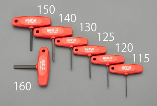 ڥݥ10ܡ۳ŷѡSAIL(12/4~12/11) ץȥ꡼ 4.0x 50mm [Hexagon]Tɥ饤С
