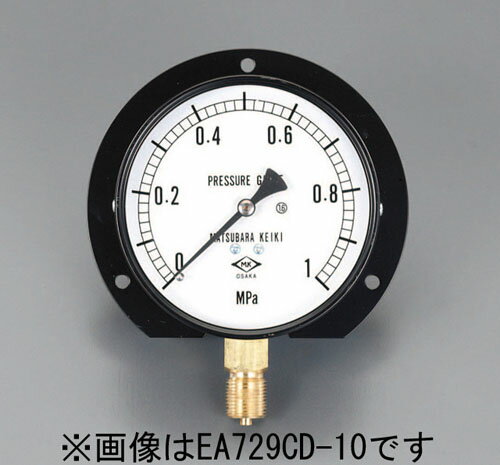 【ポイント10倍】12/19〜12/26 大感謝祭!! ※要エントリー G 3/8"/ 75/100mm/0-2.5MPa つば付圧力計
