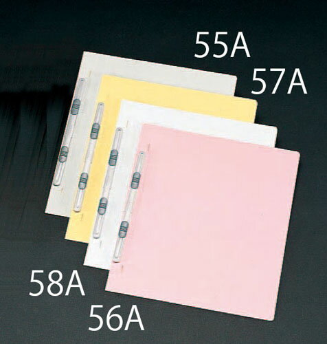 【ポイント10倍】11/20~11/27 ブラックフライデーxポイントアップ(要エントリー) A4 フラットファイル(..