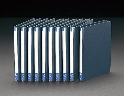 【ポイント10倍】11/20~11/27 ブラックフライデーxポイントアップ(要エントリー) A4/S型 スプリングフ..