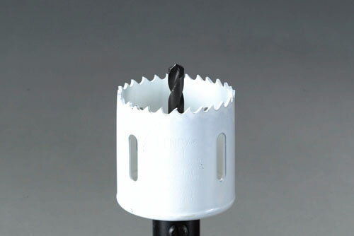 ڡݥ5ܡ6/22~6/27š㤤ʪޥ饽(ץȥ꡼) 29mm եۡ륽[LENOX]