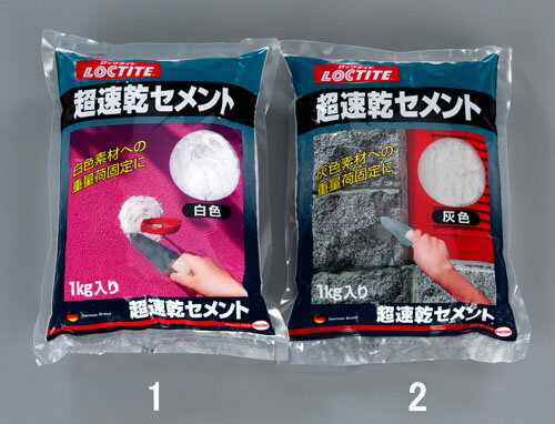 【★ポイント5倍★】11/14~11/16開催！楽天イーグルス感謝祭 × ポイントアップ(要エントリー)1.0kg 超速乾セメント(グレ-)