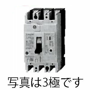 【当店限定】5/18・5/20はポイント5倍！！AC100-230V/ 15A/2極 漏電遮断器(フレーム50)