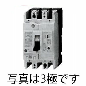 【ワンダフルデー】6/1は当店ポイント10倍！！AC100-240V/ 60A/2極 漏電遮断器(フレーム60)