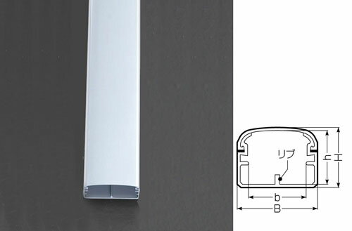 ڥݥ10ܡ۳ŷѡSAIL(12/4~12/11) ץȥ꡼ 40x30mmx2.0m ⡼(Ѹ/)