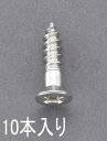 【★ポイント5倍★】5/23~5/27開催!お買い物マラソン(要エントリー) 3.5x 22mm 皿頭木ねじ(ステンレス製/10本)(4)