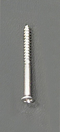 【★ポイント5倍★】11/14~11/16開催！楽天イーグルス感謝祭 × ポイントアップ(要エントリー)2.0x19mm 木..