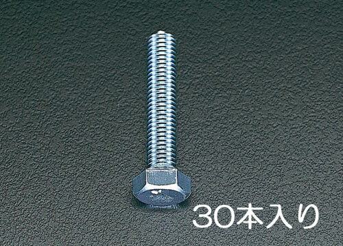 6/46/11šۥݥ10ܡ߳ŷѡSALE(ץȥ꡼) M6x25 mm ϻƬͤܥ(˥å/30)