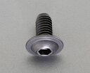 【★ポイント5倍★】7/19~7/26開催!お買い物マラソン(要エントリー) M4x10mm フランジボタンキャップボルト(鉄/20本)