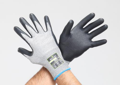 ڥݥ10ܡ۳ŷѡSAIL(12/4~12/11) ץȥ꡼ [LL] (/⶯PEϡ˥ȥ륳)