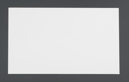 【★ポイント5倍★】11/14~11/16開催！楽天イーグルス感謝祭 × ポイントアップ(要エントリー)200x300mm ..