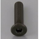 【★ポイント5倍★】7/19~7/26開催!お買い物マラソン(要エントリー) M10x10mm 六角穴付ボルト(超低頭/クロメート/2本)